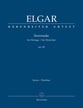Serenade for Strings, Op. 20 Orchestra Scores/Parts sheet music cover